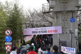 제7회 강서낙동강30리 벚꽃축제